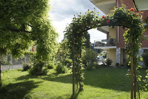 Il Piccione Viaggiatore