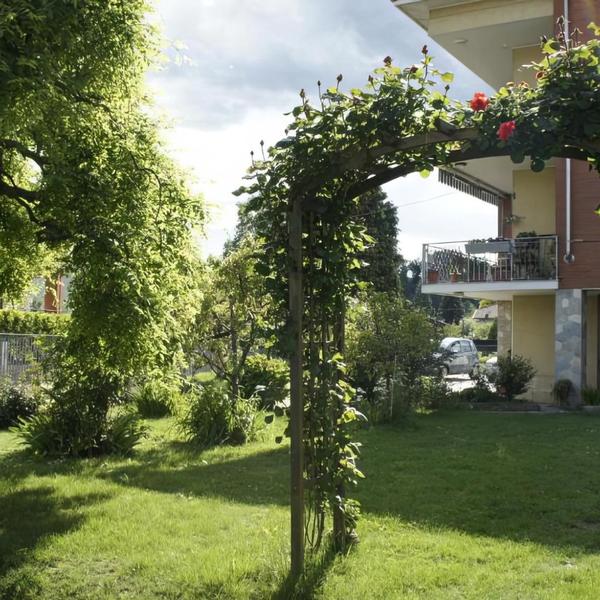  Il Piccione Viaggiatore