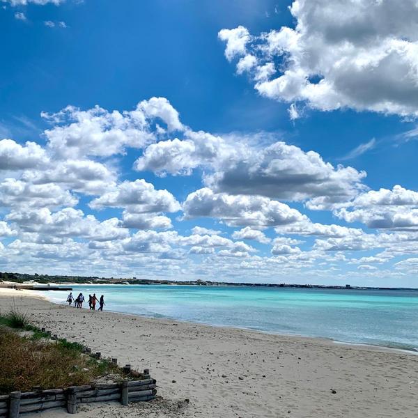  Amareterredelsalento