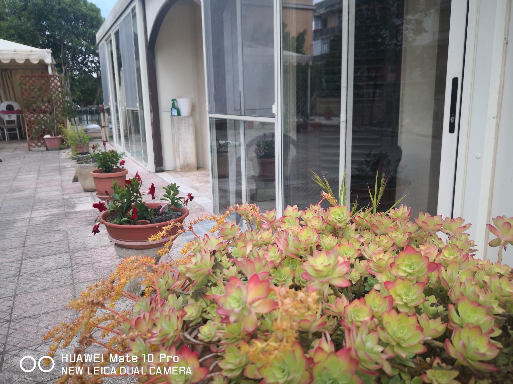 Cortile e ingresso di casa Maddalena