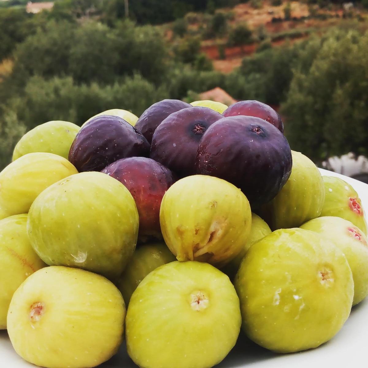 La colazione di B&B PARCO GIADA