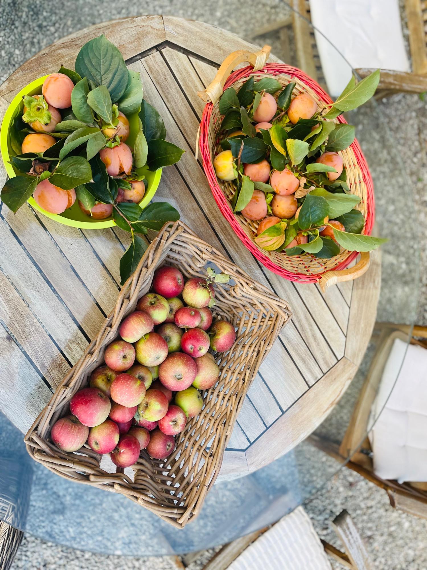 La colazione di IL CONTE GIACOMO B&B