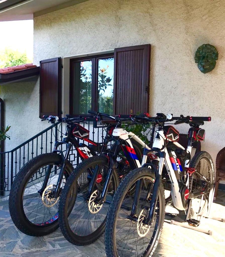 Rent e-Bikes (in struttura)