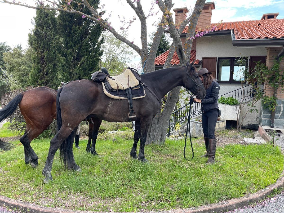 Esperienze di Equitazione (passeggiate e lezioni su prenotazione)