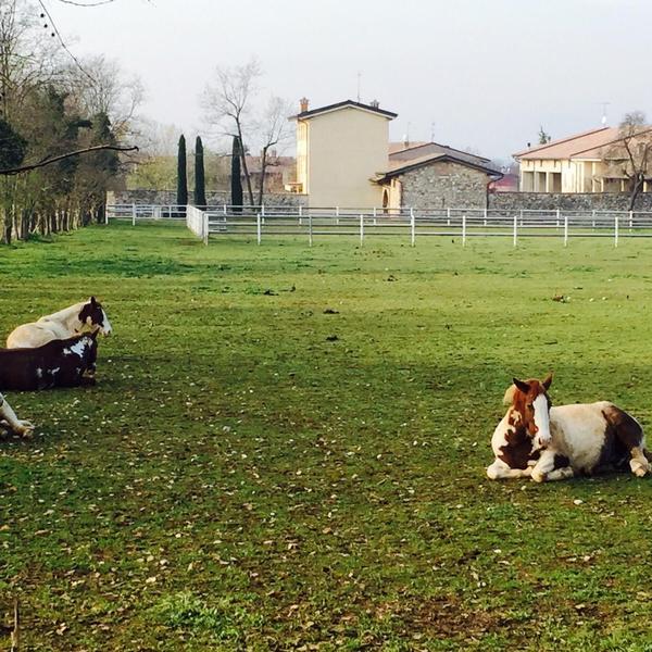  Antico Cascinale Lombardo