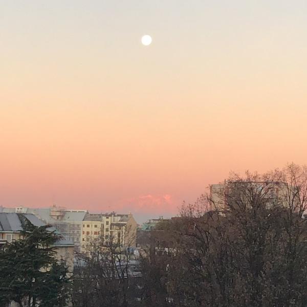 buonarroti city life roof garden mita milano