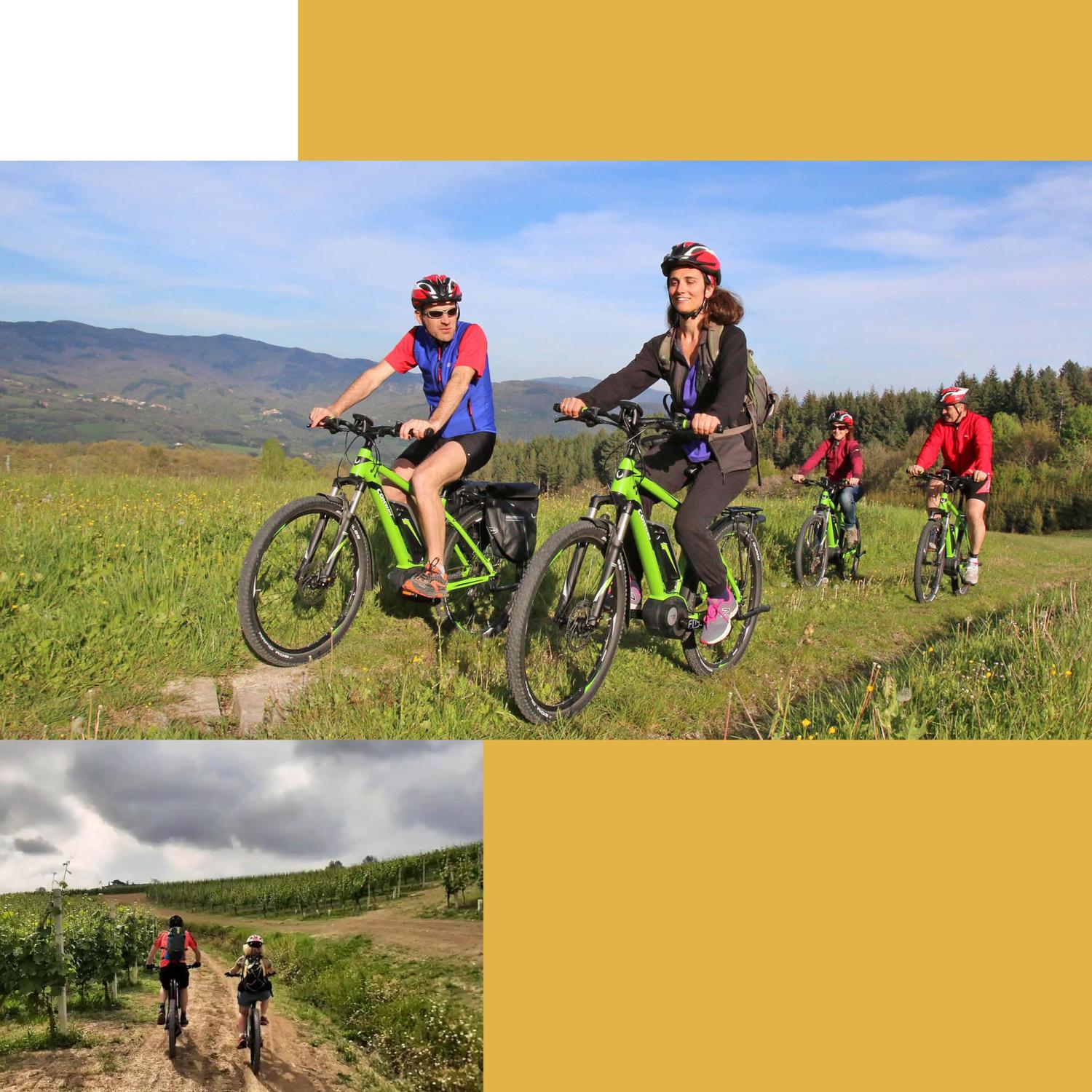 Escursione guidata in e-bike sulle colline di Rignano