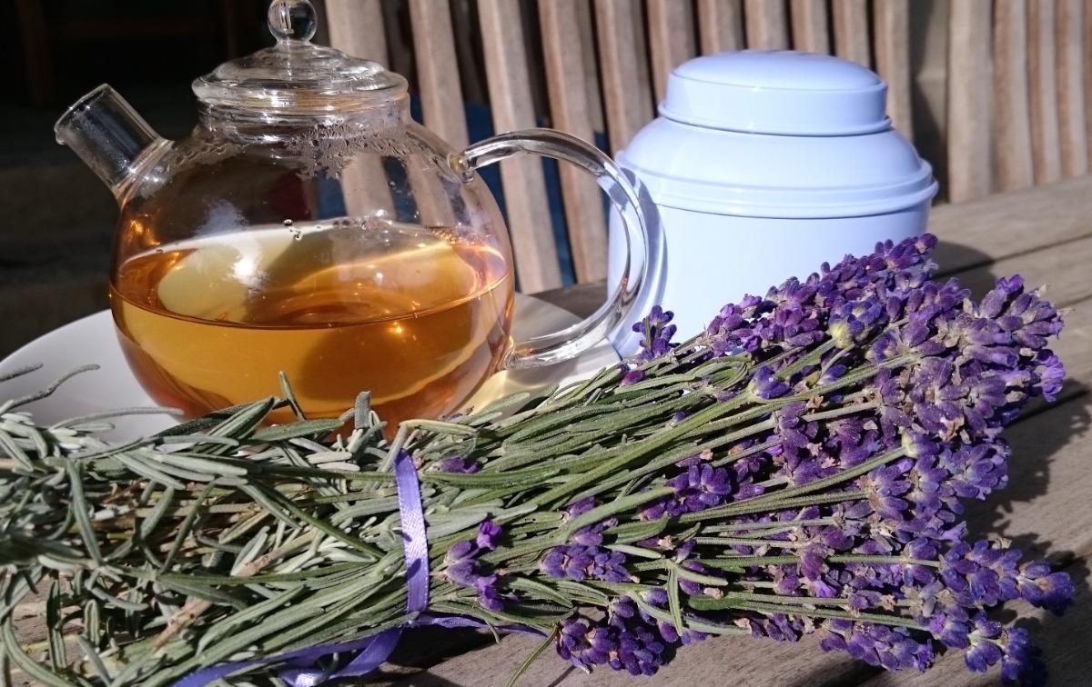 La colazione di FATTORIA FONTEGELONI