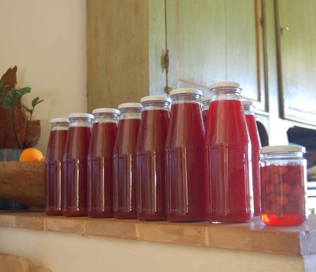 La colazione di FATTORIA FONTEGELONI