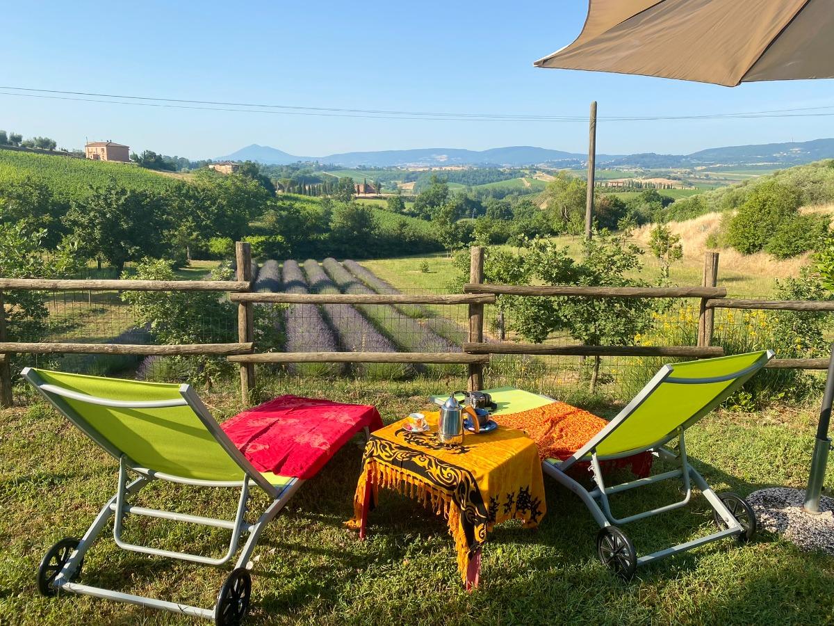 La nostra lavanda, vista dalla piscina