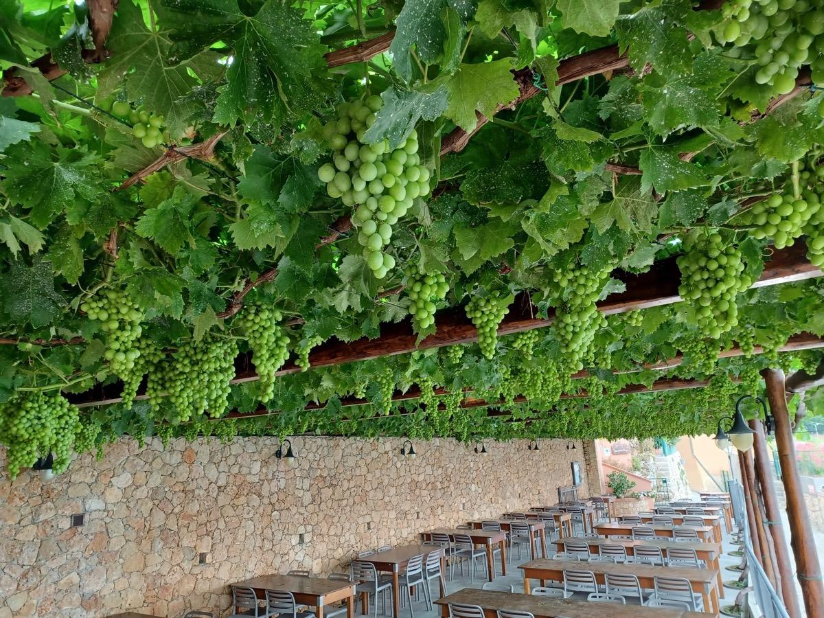 Il ristorante di LA LOCANDA DI CUCCO
