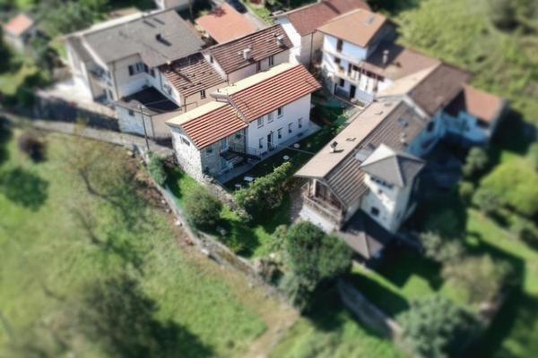 Il Riccio di Ricciano