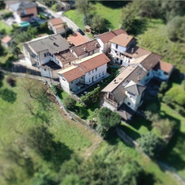  Il Riccio Di Ricciano