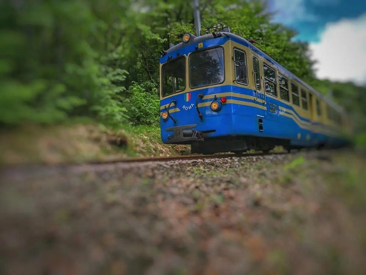 Ferrovia Vigezzina Centovalli