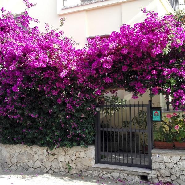Casa Noemi B&B Di Gabriella Tre