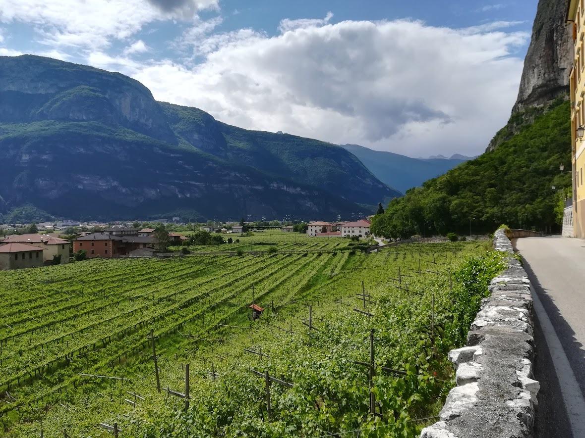 passeggiata a Mezzocorona