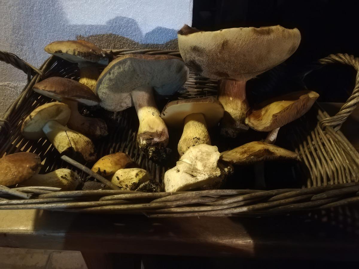 Il ristorante di PODERE LA CASELLINA