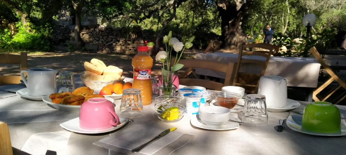 La colazione di AGRITURISMO CASTEDDU