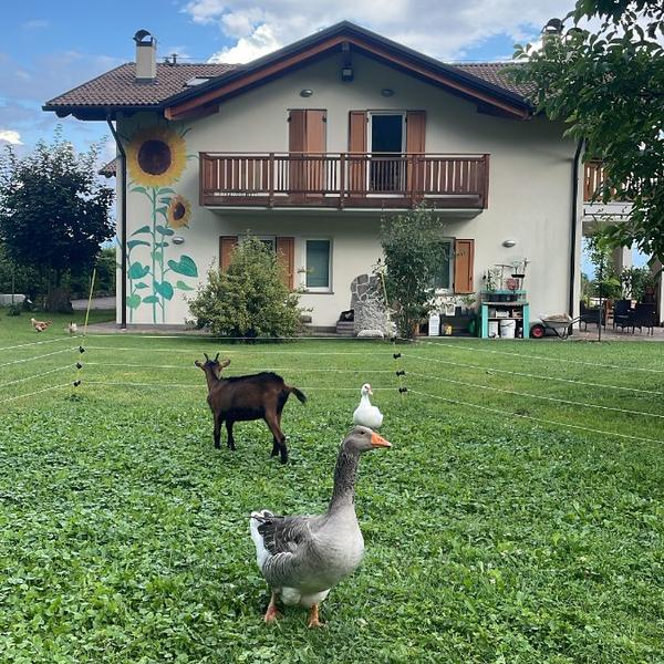  Agriturismo Girasole