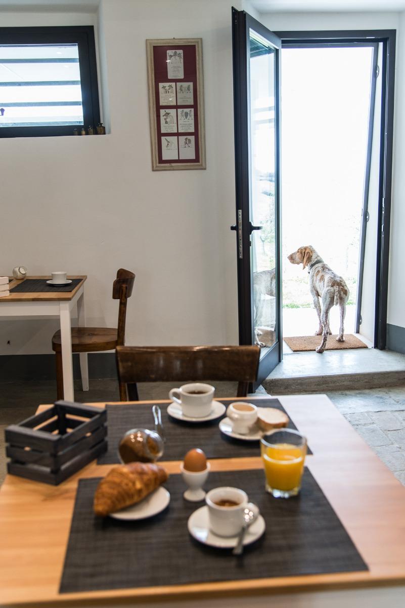 Cani ammessi ovunque