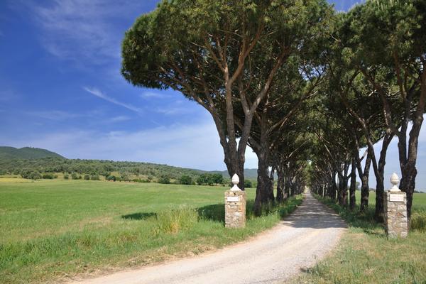 Agriturismo la Valentina Nuova