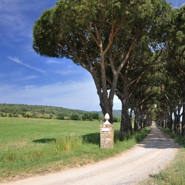  Agriturismo La Valentina Nuova