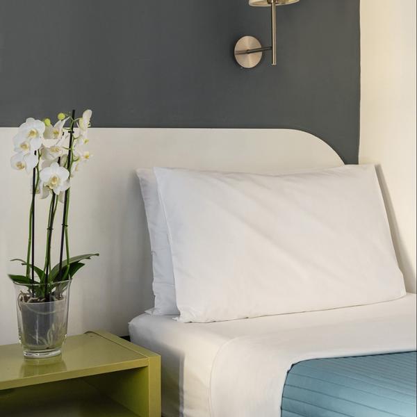  Carafa Suite