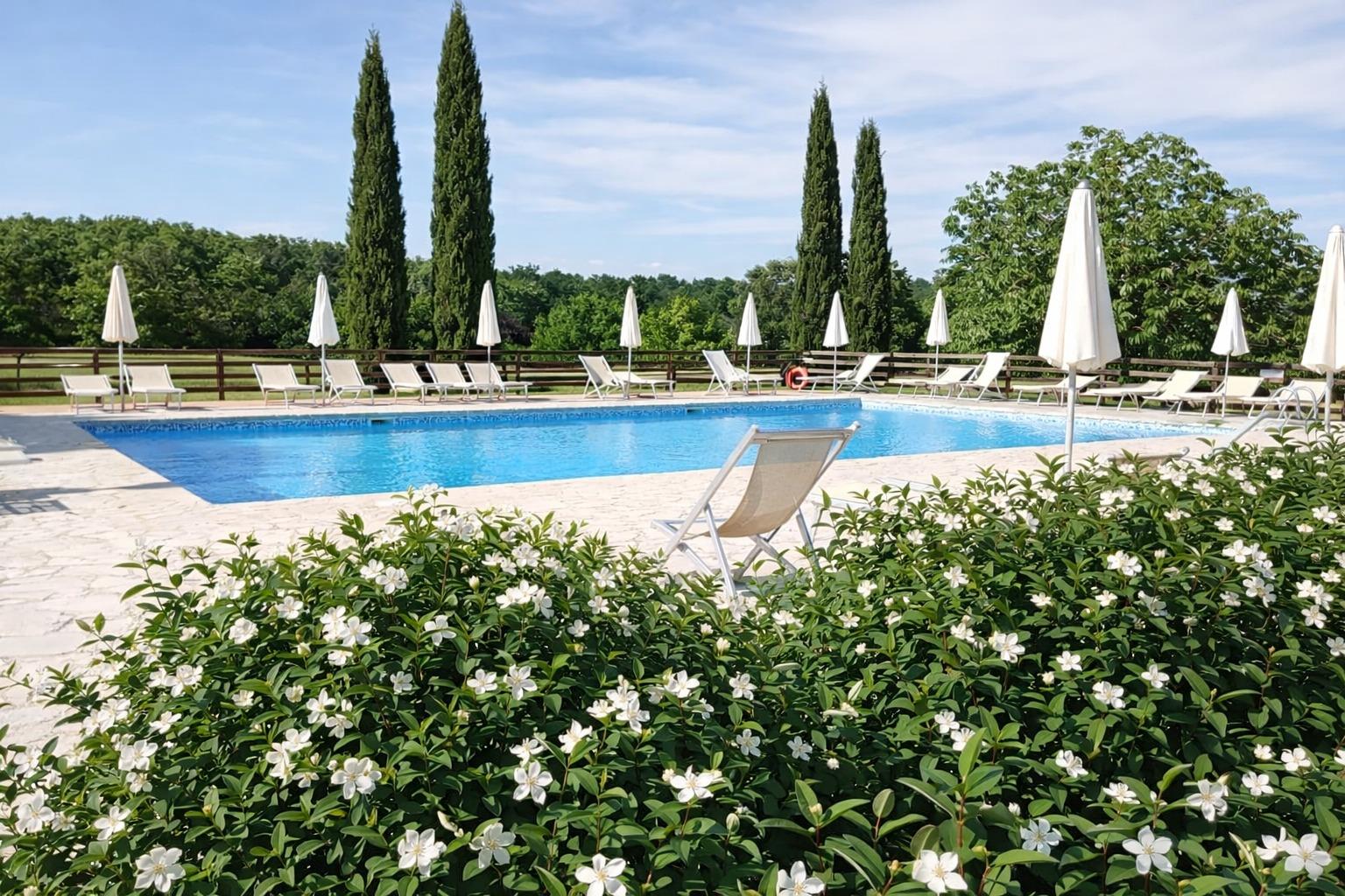 Swimming pool in Nerbona