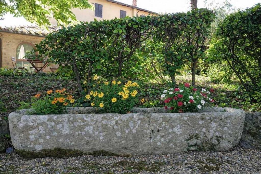 ancient drinking trough