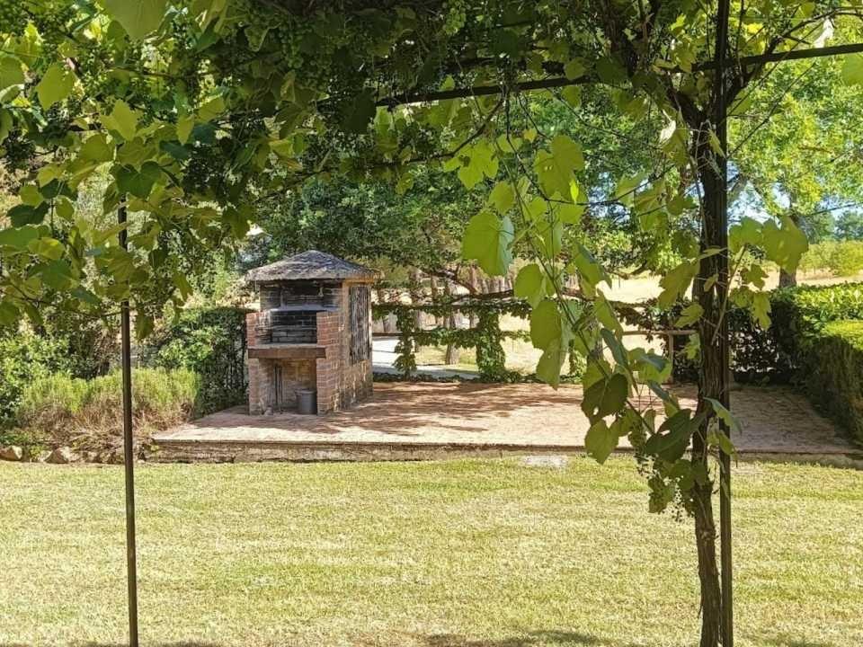 Another Barbecue in Nerbona