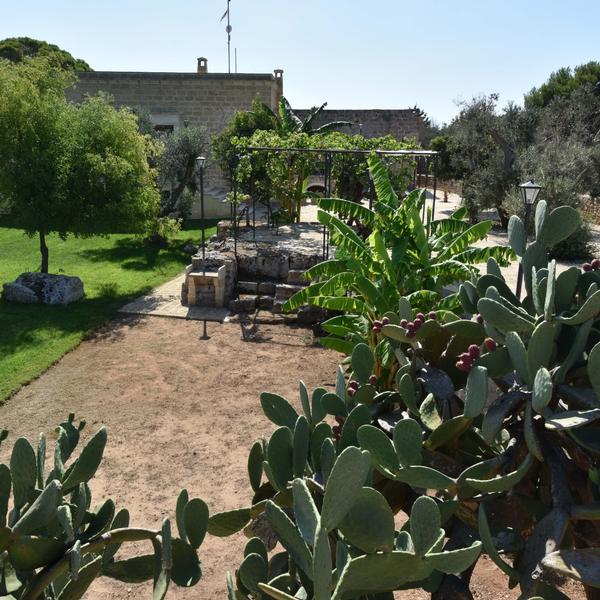 masseria la maestà