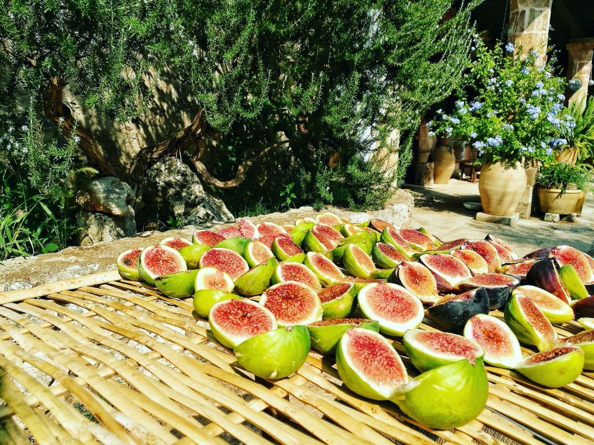 La colazione di BORGO DEL GALLO