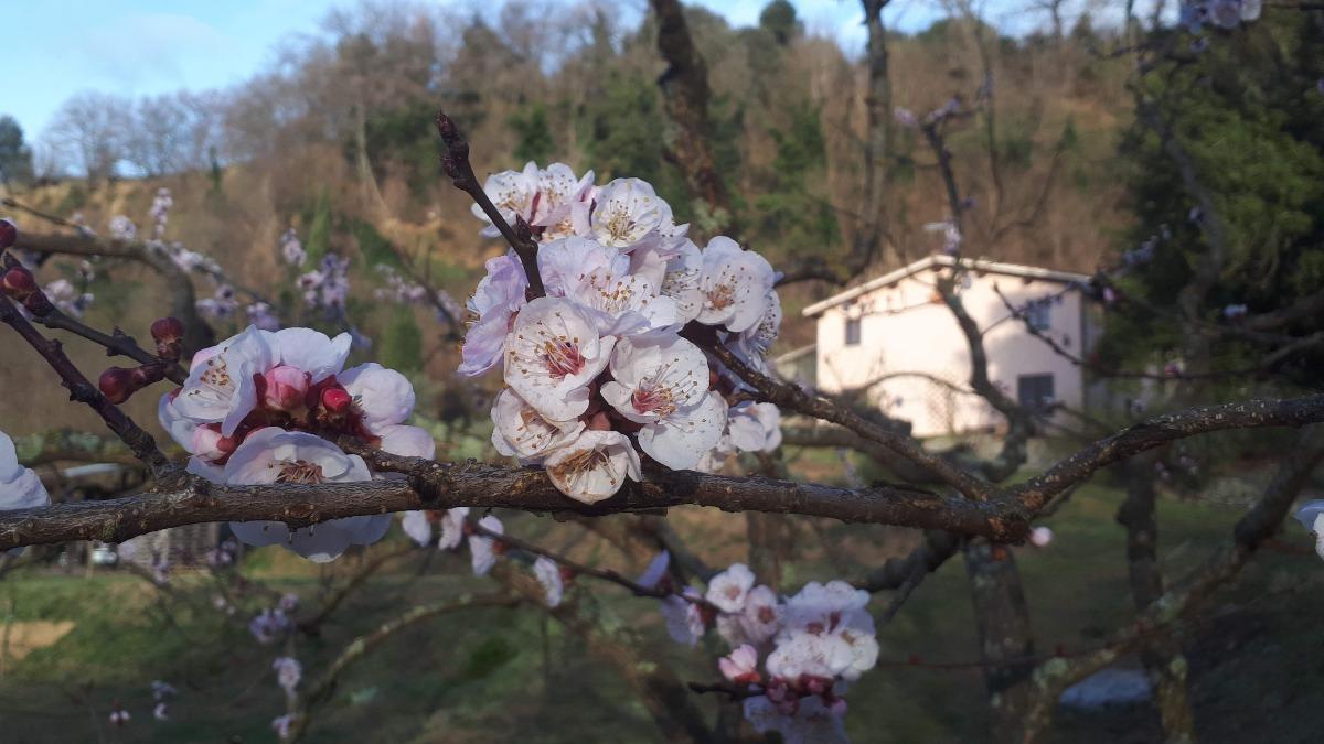 Esterno in primavera