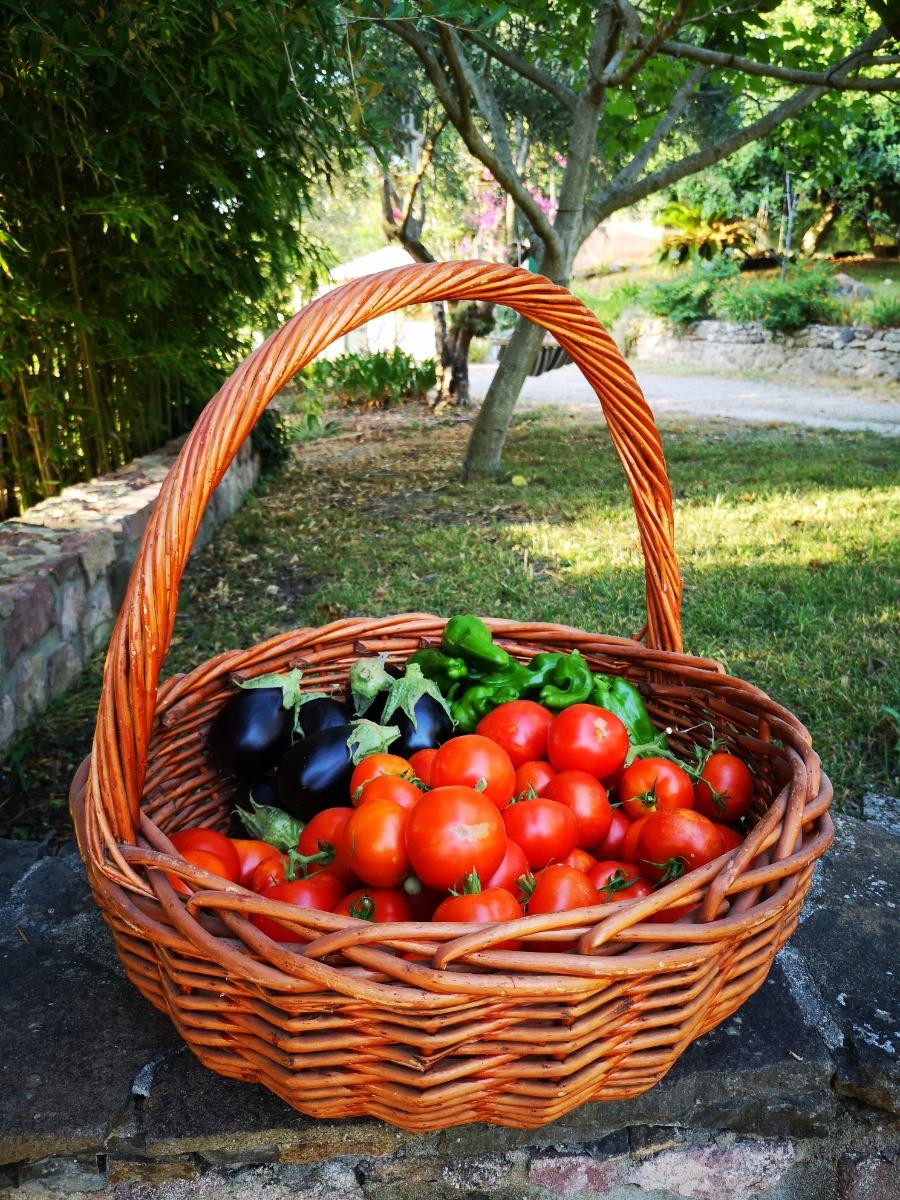 Il ristorante di LA TINAIA COUNTRY HOUSE BED & BOARD