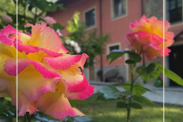 B&B Cascina Grattinera