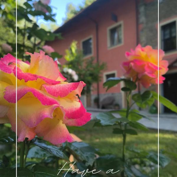  B&B Cascina Grattinera