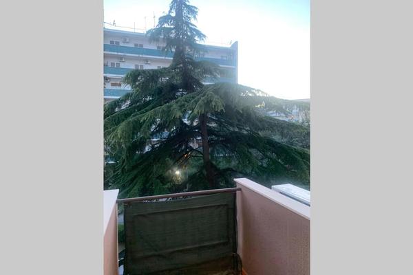 Residenza Giovanni Paolo Secondo - Casa sull'Albero