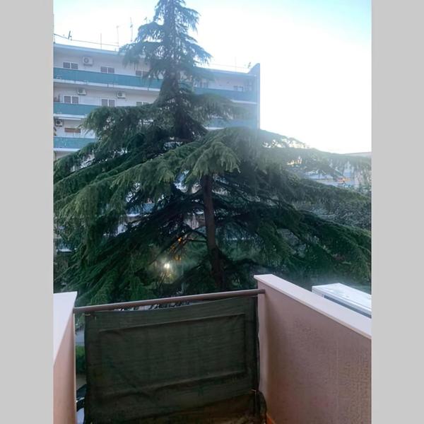  Residenza Giovanni Paolo Secondo - Casa Sull'Albero