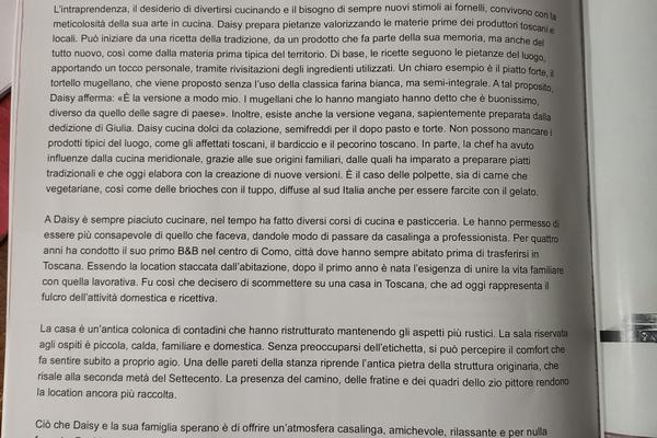 Il Pittore
