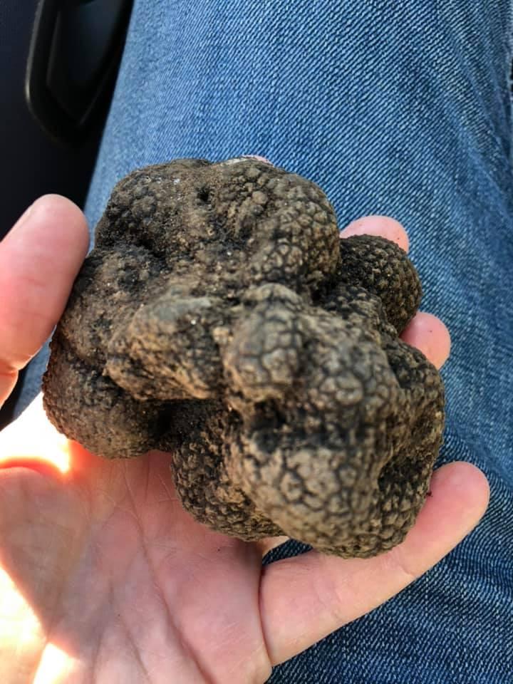 Il ristorante di HOTEL SOVESTRO