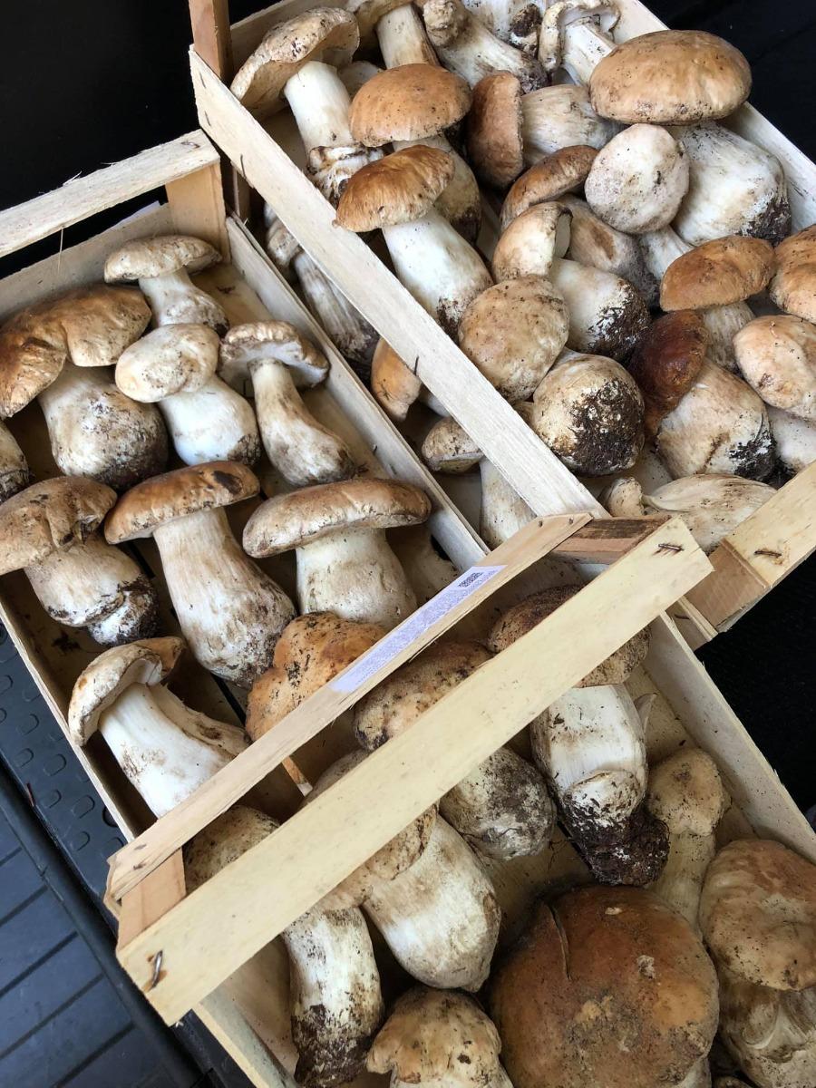 Il ristorante di HOTEL SOVESTRO