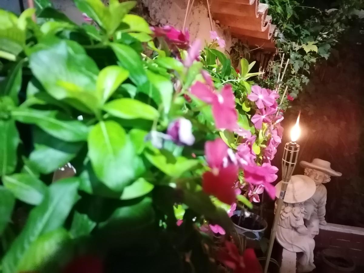 Il ristorante di DIMORA B&B
