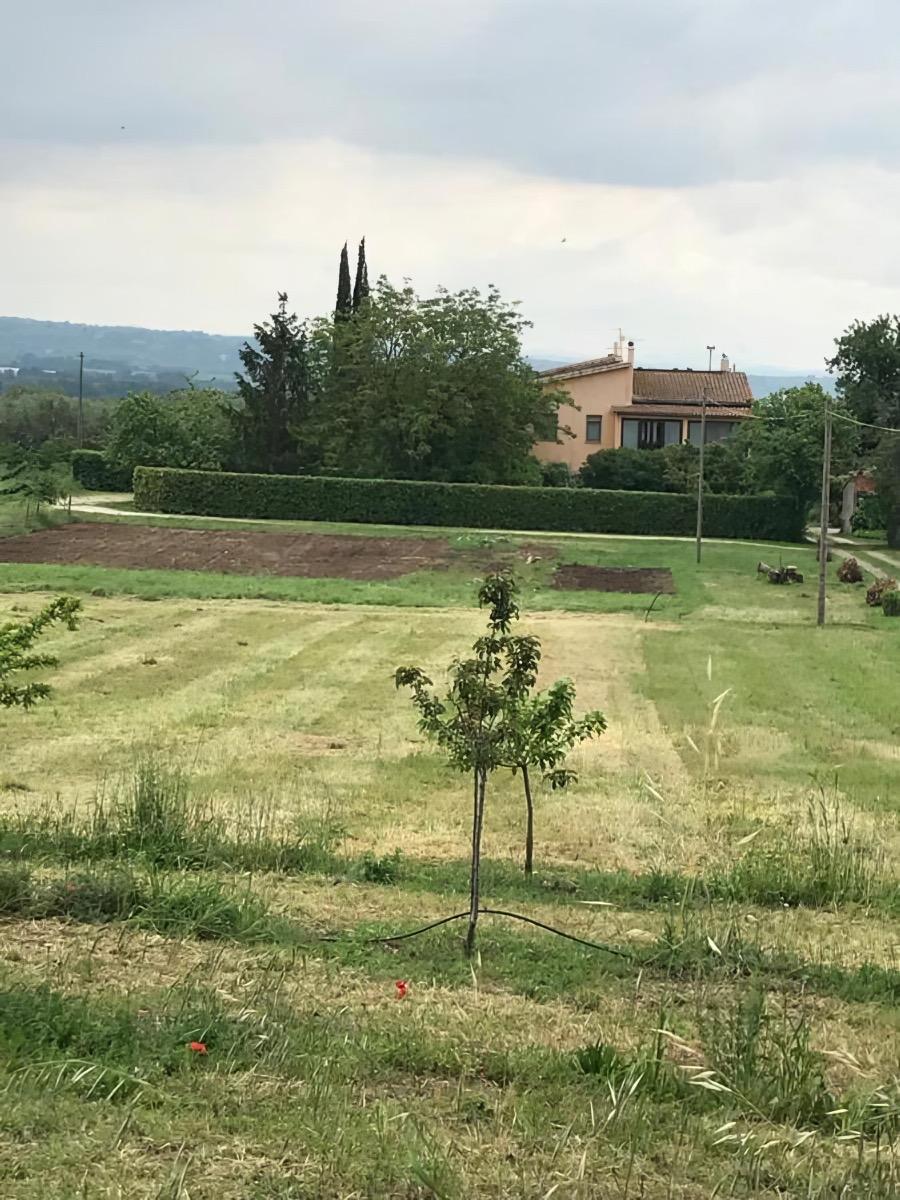 Panoramica della casa