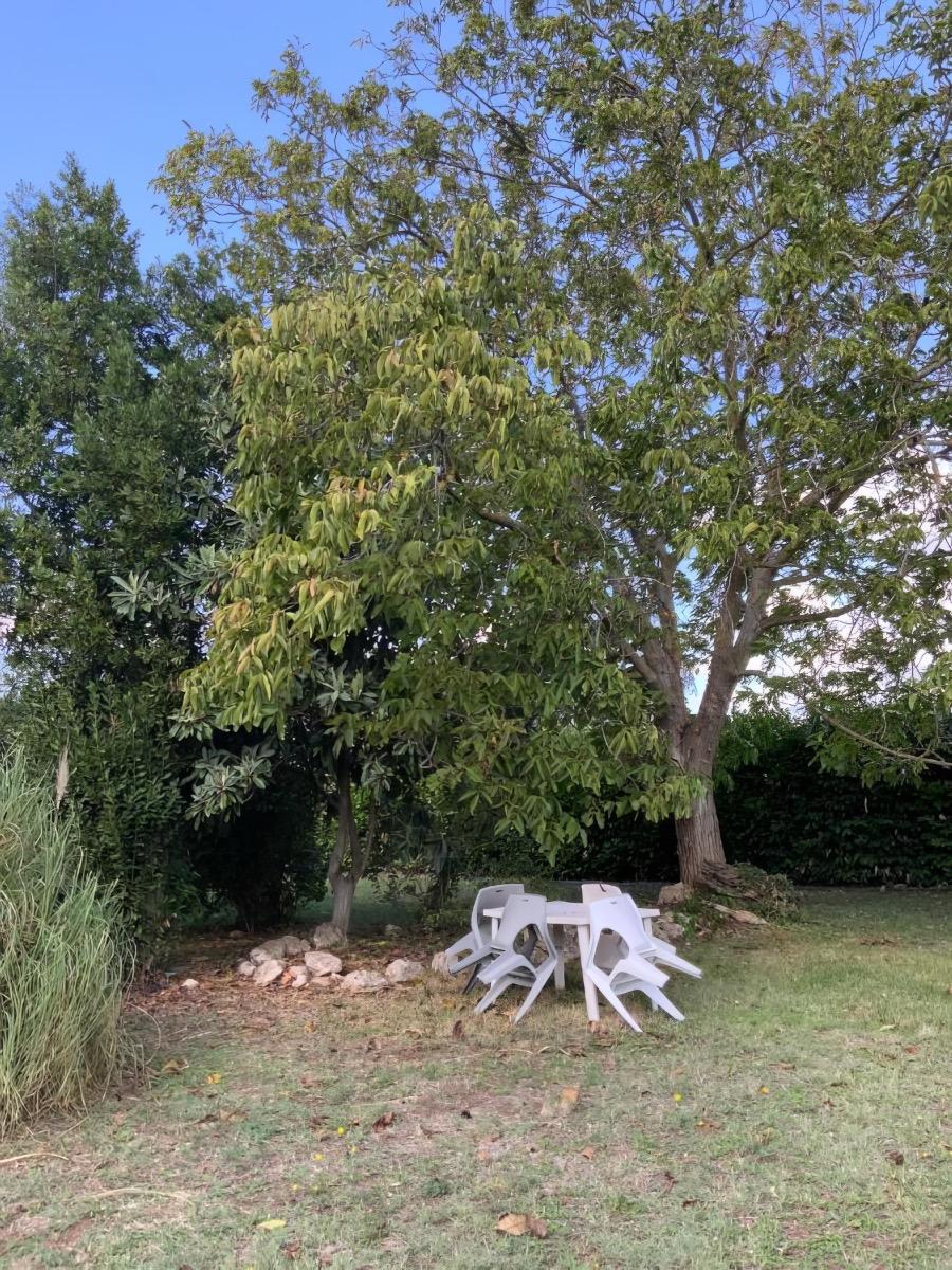 Giardino Appartamento Giallo