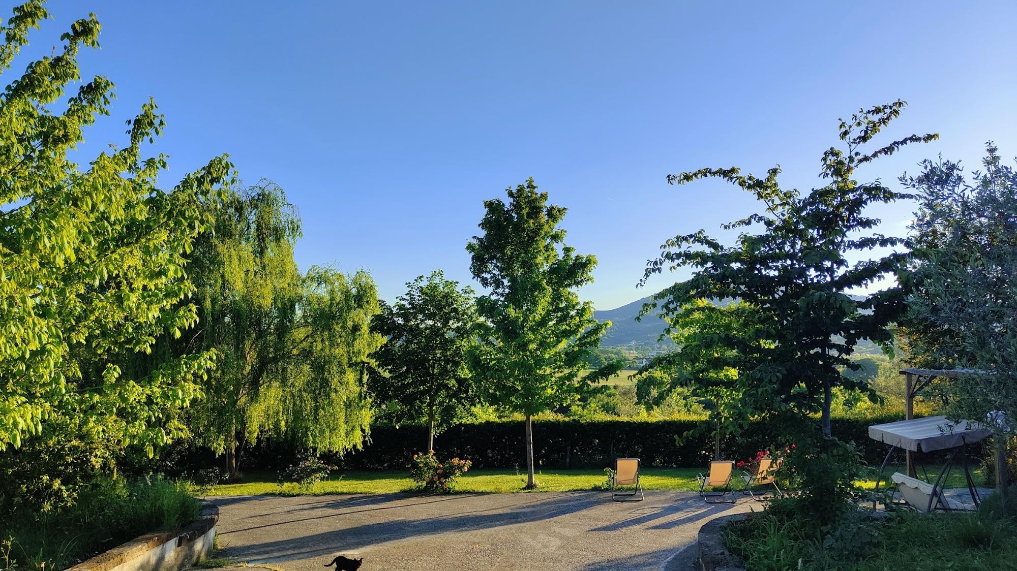 Large space for relaxe time, reading, just have mindful time in the natural space