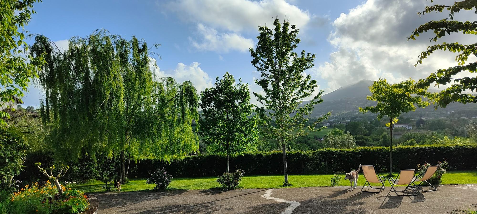 area relax e colazione