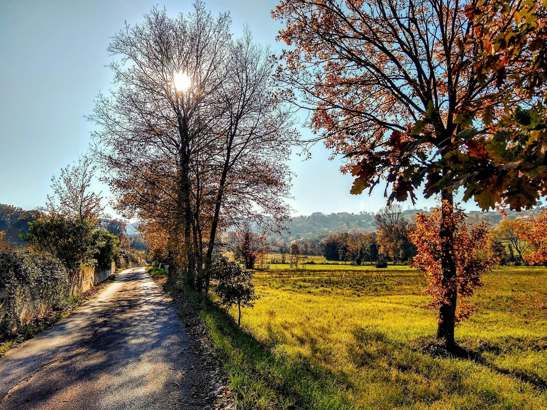 Try regenerating autumn walks on foot from our B&B