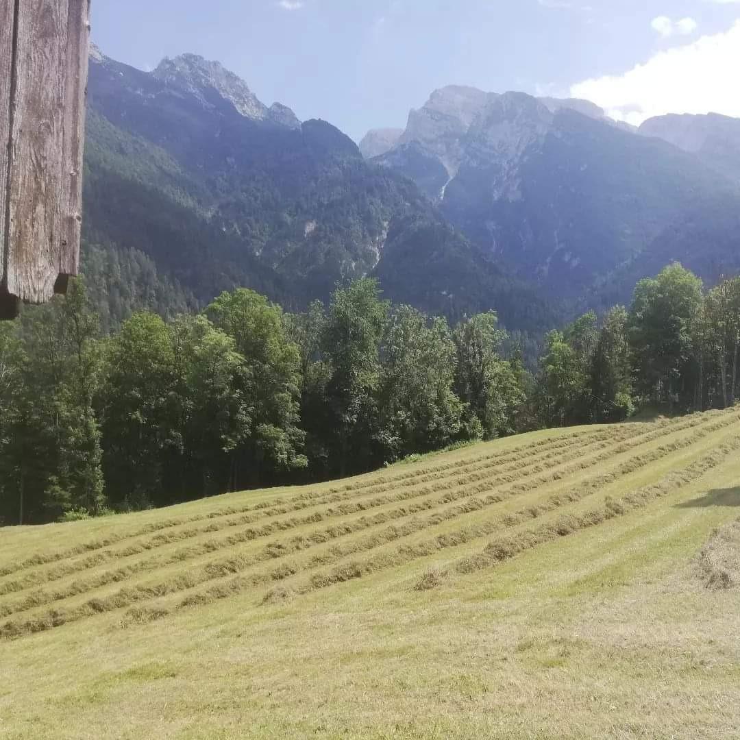 RACCOLTA FIENO AGRICOLA CANOP