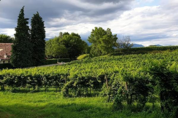 Agriturismo l'Eremo
