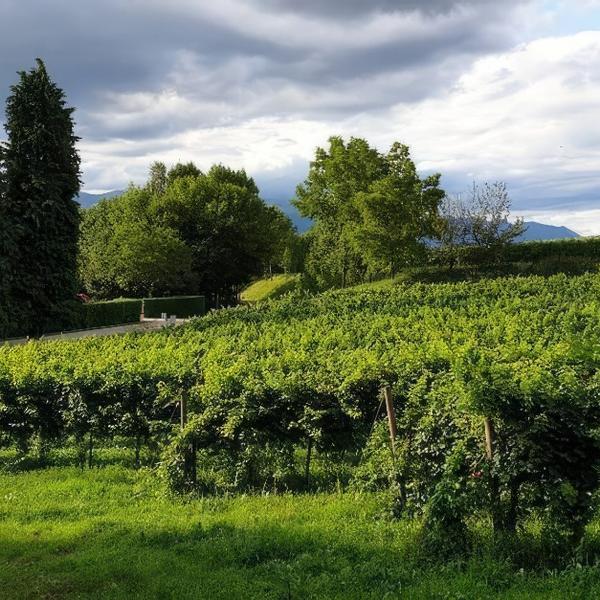 agriturismo l'eremo